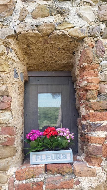 Agriturismo Bronzivalle Riotorto Extérieur photo